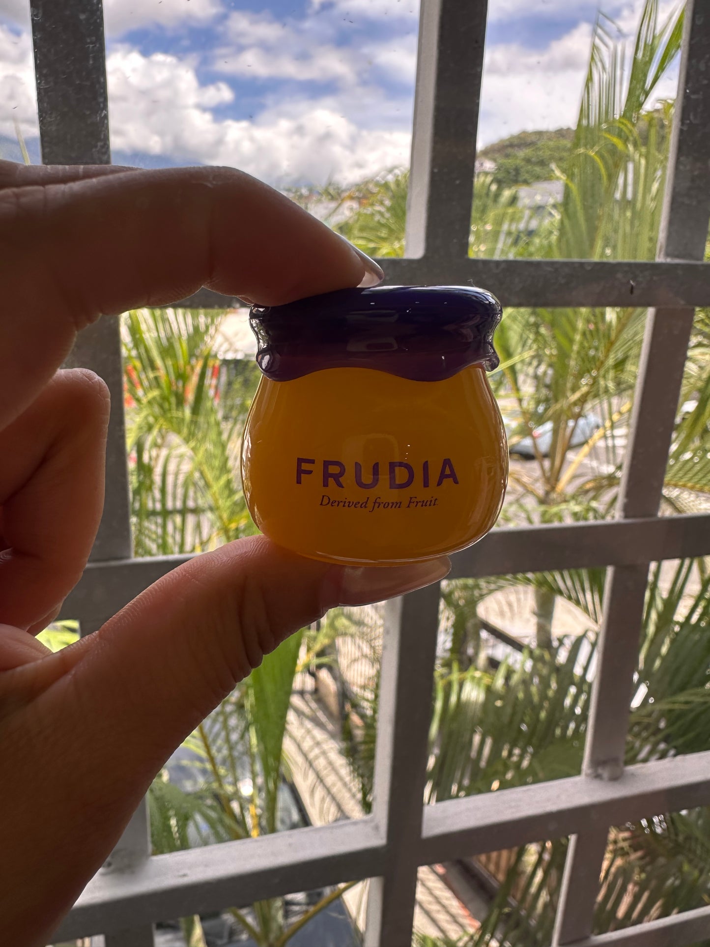 FRUDIA Bálsamo labial de Miel y Arándano Azul