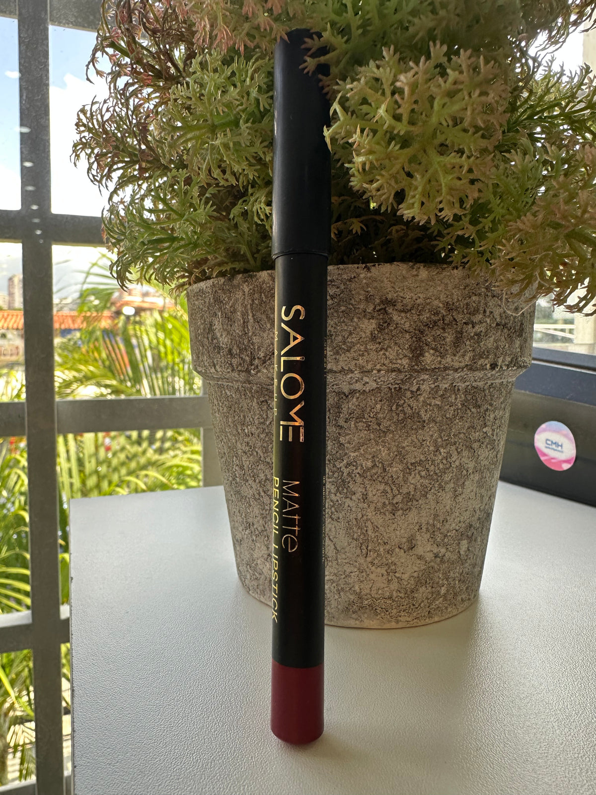 Delineadores de labios Salomé
