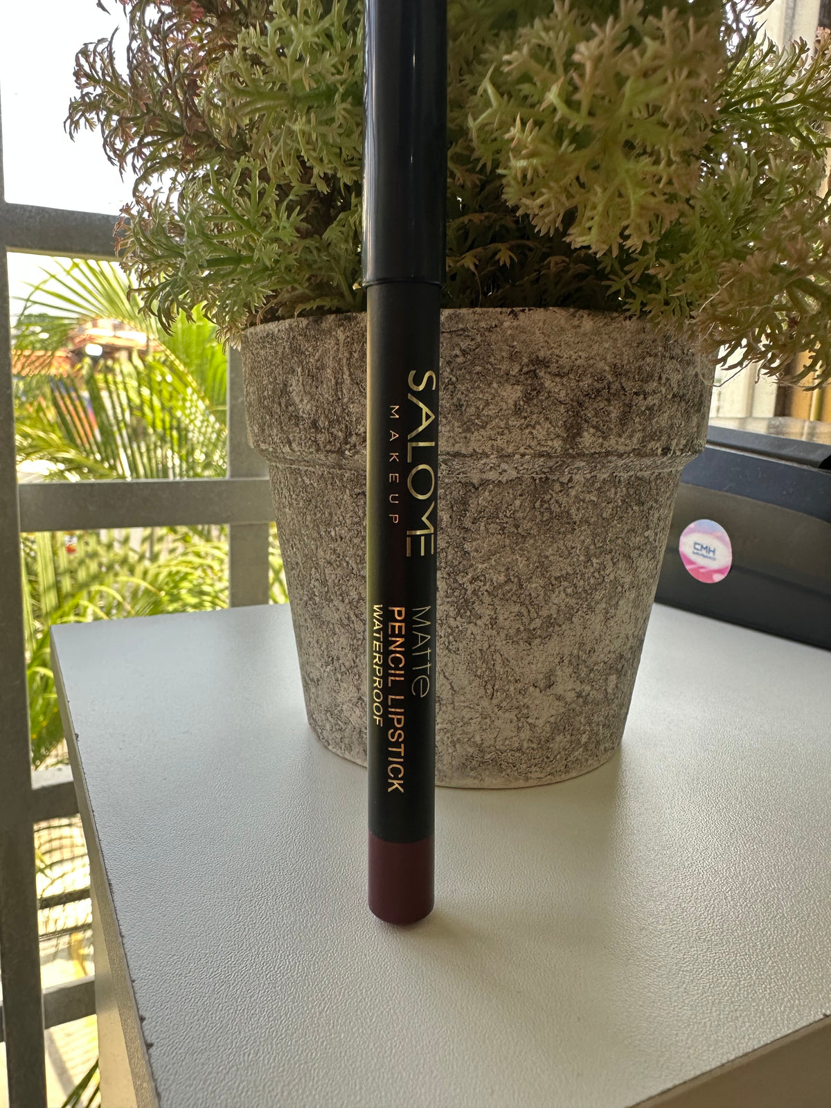 Delineadores de labios Salomé