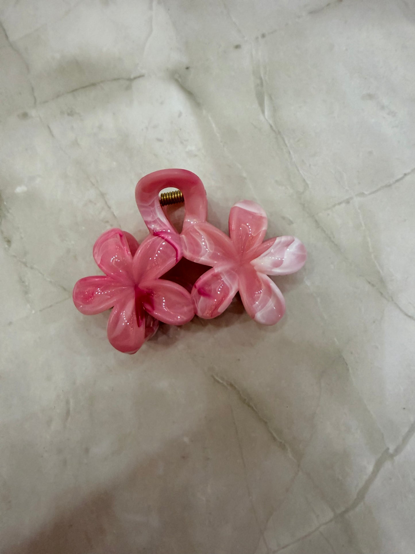 Pinzas para el cabello