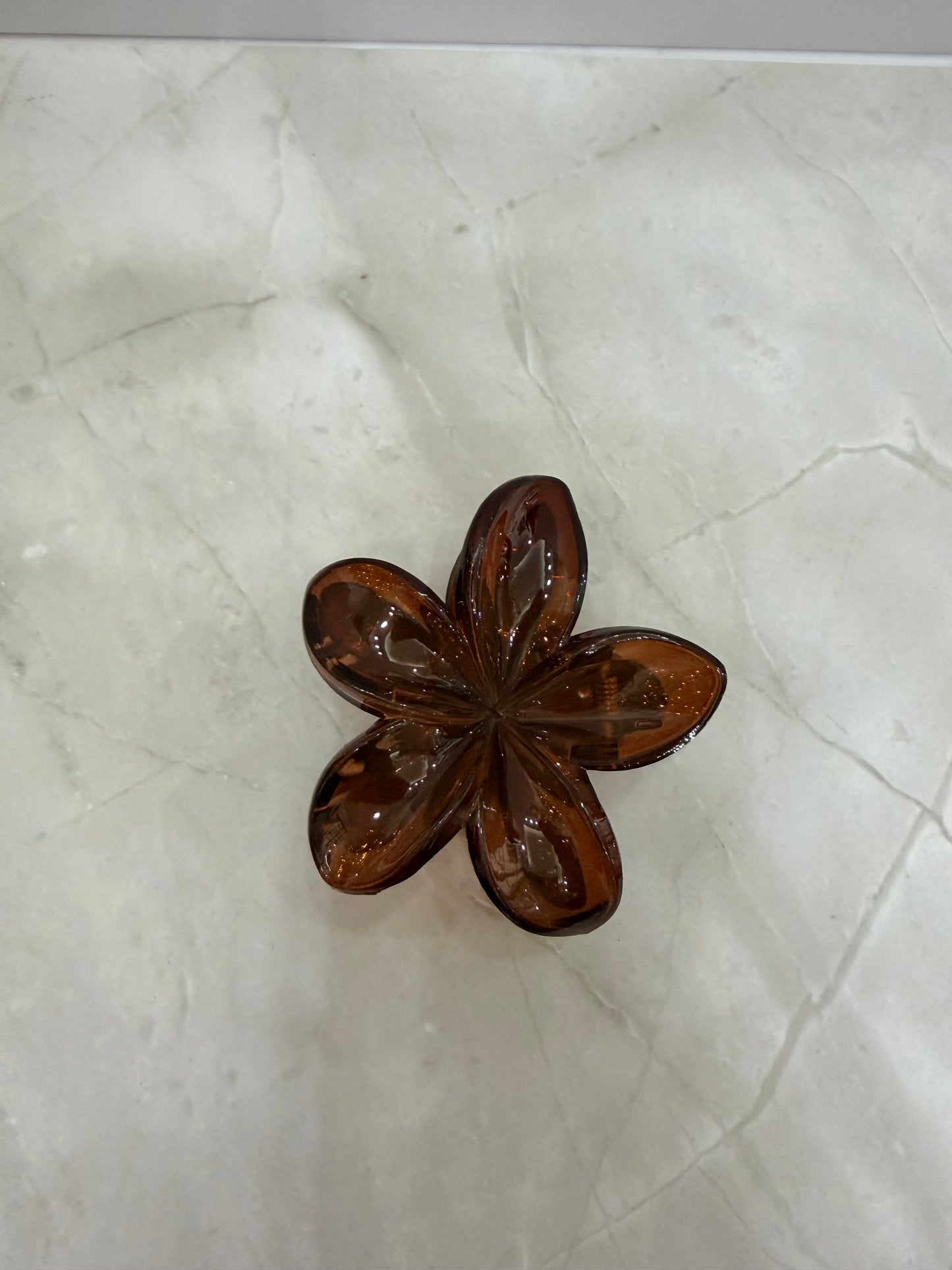 Pinzas para el cabello