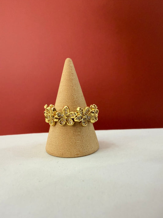 Anillos variados “Nueva llegada”