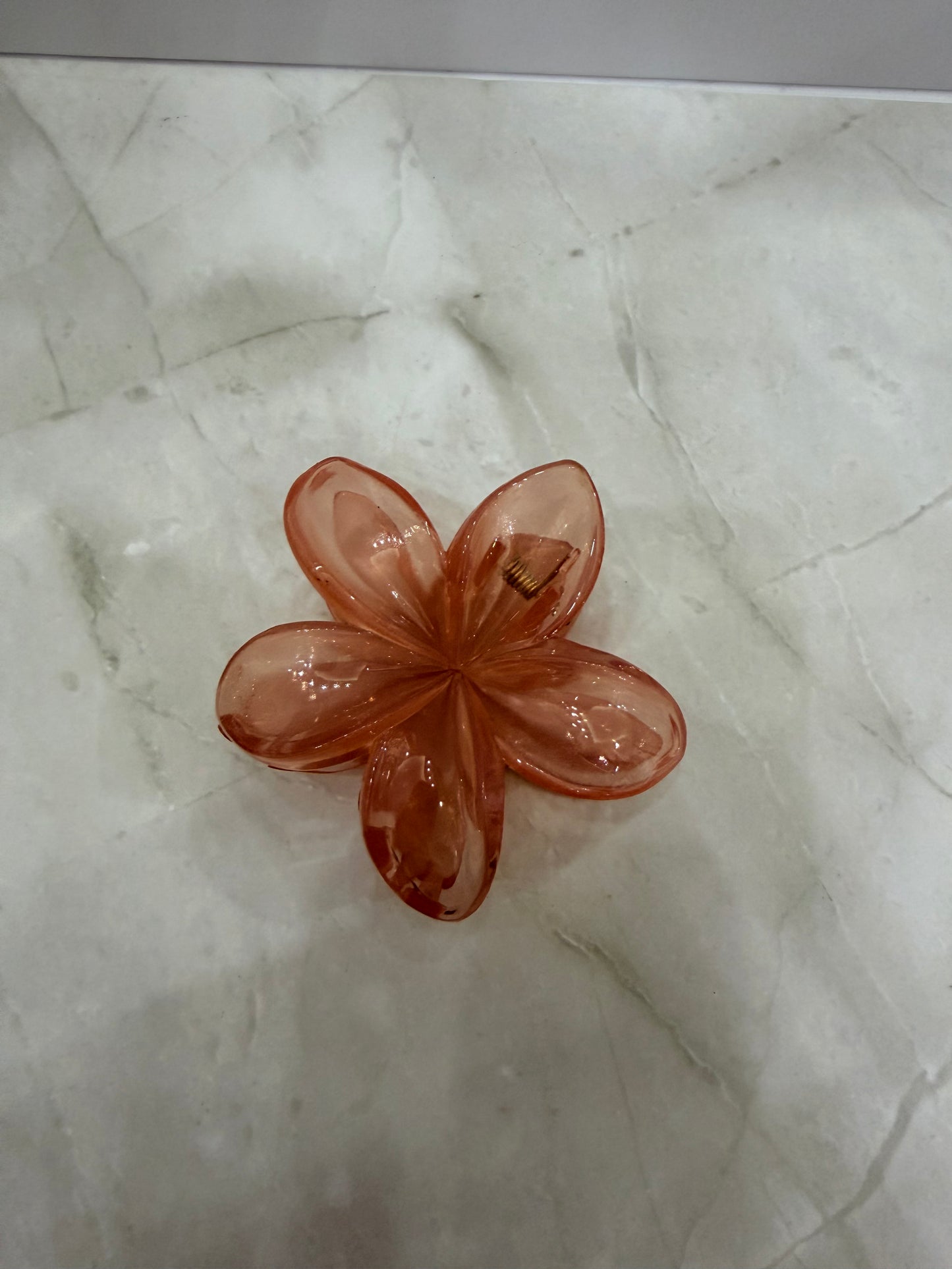 Pinzas para el cabello
