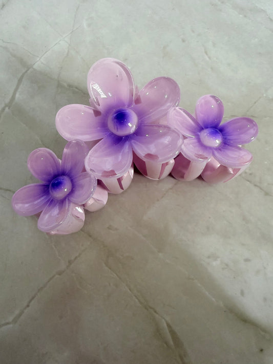 Pinzas para el cabello