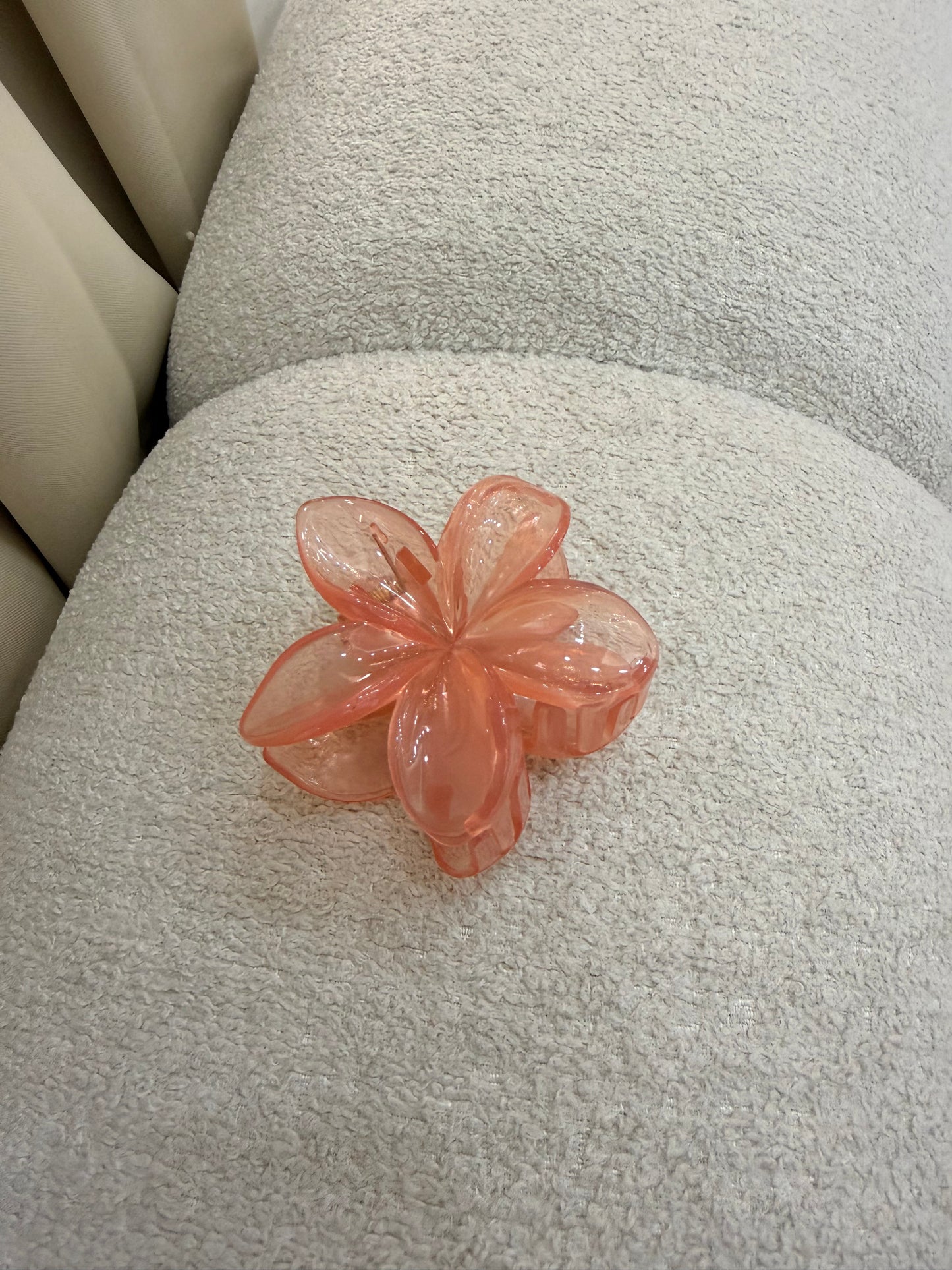 Pinzas para el cabello